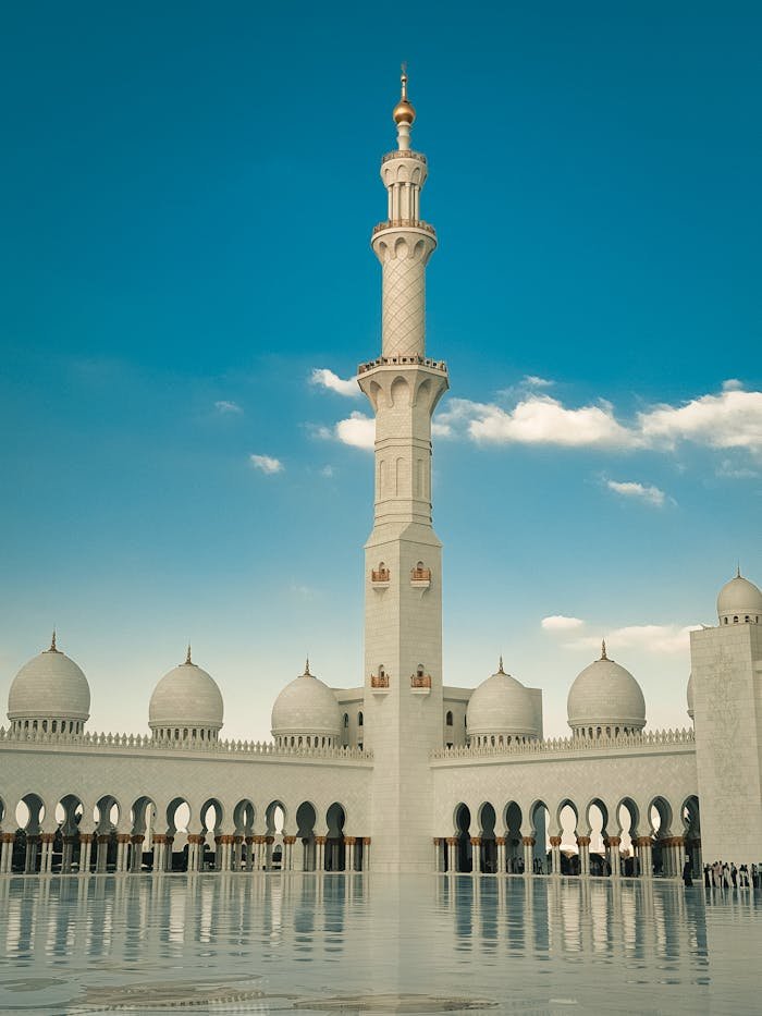 pexels photo 31164779.jpeg